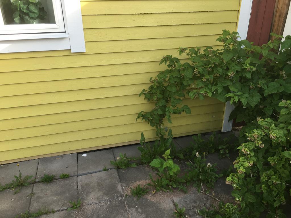 Augustas Bed & Breakfast Rättvik Dış mekan fotoğraf